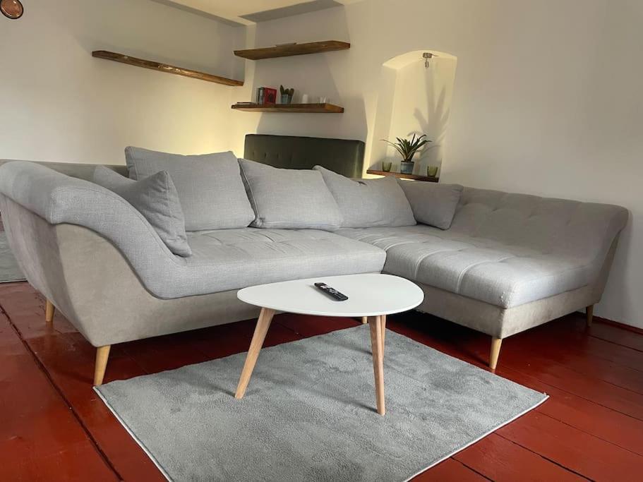 Apartman U Spinaru Třešť エクステリア 写真