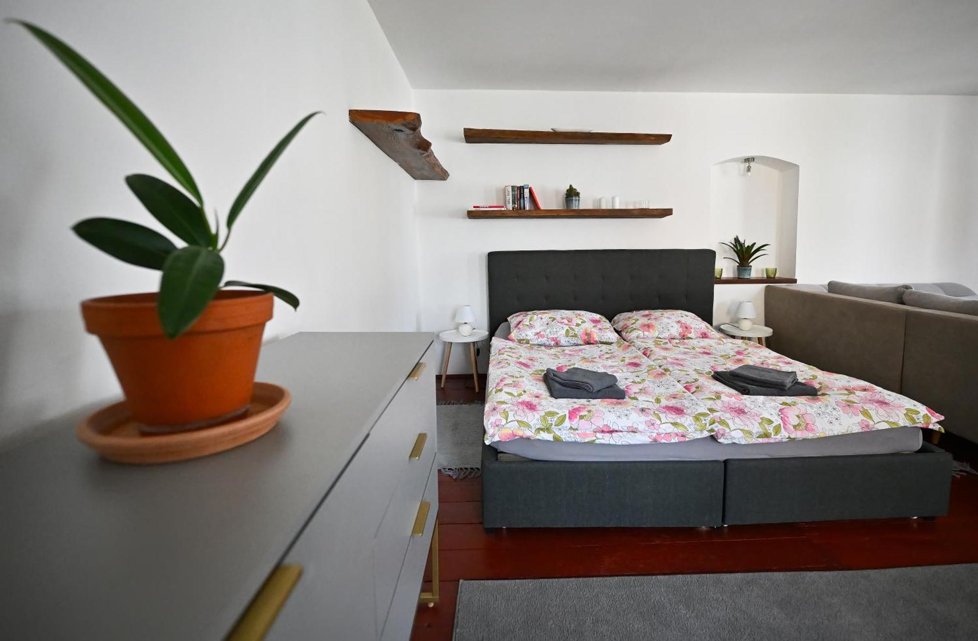 Apartman U Spinaru Třešť エクステリア 写真